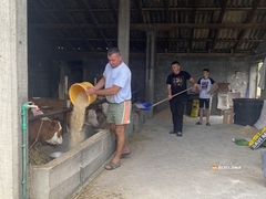 Mladi domaćin iz Semberije poručuje: „Samo rad pobjeđuje“ – i nada se da će naći srodnu dušu /FOTO/