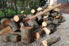 Uhapšen zbog sumnje da je ubio brata sjekirom