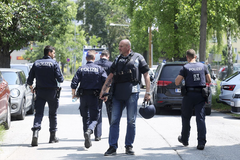 "Učenica tvrdi da je napadač austrijski državljanin porijeklom iz BiH"