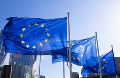 Ko snosi odgovornost za zastoj BiH na putu ka članstvu u EU