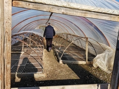 CRNJELOVO I OBARSKA IMAJU NAJVIŠE PLASTENIKA U SRPSKOJ: Uvezeno povrće se ne može porediti sa povrćem domaće proizvodnje