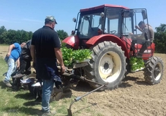 U Semberiji počela sjetva duvana: Zbog niske otkupne cijene proizvodnja se smanjuje iz godine u godinu