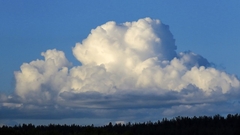 Sutra oblačno, poslije podne lokalni pljuskovi