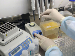 Dom zdravlja: Brzo testiranje u Banjaluci i za vrijeme praznika