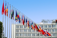 Članstvo Srbije u EU podržava 43 odsto građana