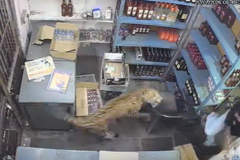 Leopard upao u prodavnicu i napao prodavača, dramatičan snimak obišao svijet (VIDEO)