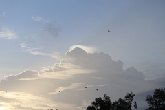 Danas sunčano i malo toplije, uz razvoj oblačnosti