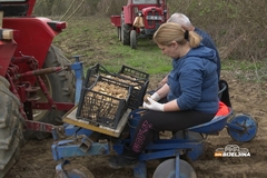 Semberski povrtari počeli sadnju krompira: Proizvodnja industrijskog isplativija od konzumnog