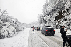 Duge kolone: Kamioni napravili zastoj preko Romanije