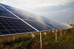 Bezvrijedni hercegovački krš postao atraktivno tlo za investicije: Solarna groznica uhvatila i Vojina Mitrovića