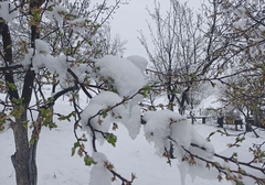 Krajina ponovo prekrivena snježnim prekrivačem