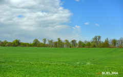 Pretežno oblačno i veći dio dana vjetrovito