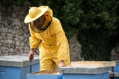 Bokser pronašao zlato u košnicama: Pčelinji otrov mu donosi bogatstvo