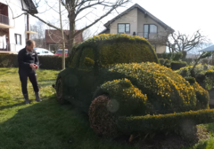 Svaka čast za kreativnost: Čovjek 12 godina šišao šimšir da bi ga oblikovao u "folciku" (VIDEO)