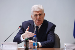 Čović predlaže pritisak na visokog predstavnika, traži da povuče odluku