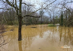 Sava i dalje raste, Drina dva metra ispod redovne odbrane od poplava