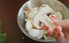 Stručnjaci objašnjavaju kako dolazi do trovanja pečurkama i otrovnim biljem