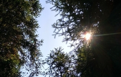 Danas preteženo sunčano, do 27 stepeni Celzijusovih