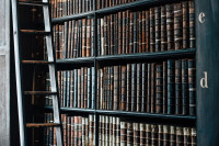 Noćna mora u biblioteci, čistačica poređala knjige po veličini