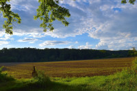 Danas sunčano, temperatura do 28 stepeni