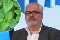 Doktor NESTOROVIĆ objašnjava moć KOPRIVE u borbi protiv insekata!