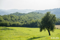 Tokom dana toplo, kiša i pljuskovi mogući poslije podne