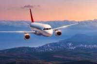 Ostavio ju je momak, ona popila dvije flaše alkohola, ušla u avion i napravila haos