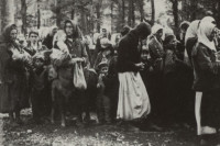 Obilježavanje 78 godina od bitke na Kozari