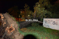 STANARI ČULI JAK UDAR: Veliko stablo palo na parking u Bijeljini, uništeno više vozila /FOTO/