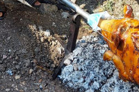 SNIMAK ZAPALIO INTERNET Korona kolo, prase sa maskom i atmosfera kao na moru