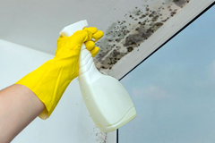 Naprskajte ovo "magično sredstvo" na buđ, za deset minuta zid će biti čist