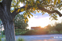 Sutra sunčano i veoma toplo