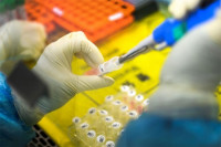 Virus korona potvrđen kod još 74 osobe u RS, dvoje preminulo