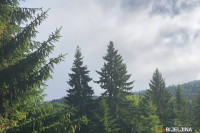 Kakvo nas vrijeme očekuje zadnji dan vikenda