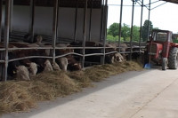 Uz savremenu opremu do kvalitetnijeg mlijeka