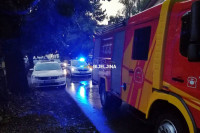 Bijeljina: Tokom nevremena DRVO PALO na taksi (FOTO)