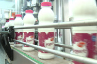 SMANJENA PROIZVODNJA U odnosu na lane, mljekare u avgustu prikupile 15,6 odsto manje mlijeka