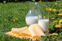 Izvoz mliječnih proizvoda u prvom polugodištu manji za 10,8 odsto