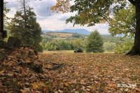 Danas promjenljivo, ponegdje slaba kiša