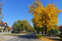 Danas sunčano, temperatura do 21 stepen