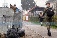 Nesvakidašnji prizor u Banjaluci: Glava vepra izvirila iz kontejnera