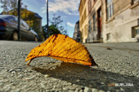 Danas sunčano, magla u nižim predjelima