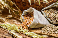 Čuveni kardiolog otkrio koje žitarice svaki čovjek treba da jede