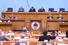 Narodna skupština počela raspravu o zabrani ustaških simbola i ljiljana