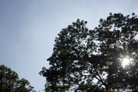 BEZ SNIJEGA 7. JANUARA Kakvo se vrijeme očekuje za Božić