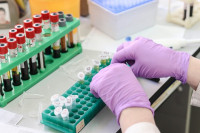 Komercijalno testiranje na virus korona i tokom praznika