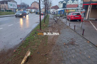 Autom pokosio drvo, “proletio” kroz baštu kafića i završio u kružnom toku (FOTO)
