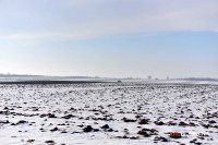 Snijeg obradovao voćare i ratare