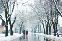 Bijeljinci polažu nadu u gasifikaciju