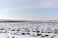 Danas suvo i manje hladno